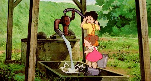 龙猫最久能活多久,龙猫30秒