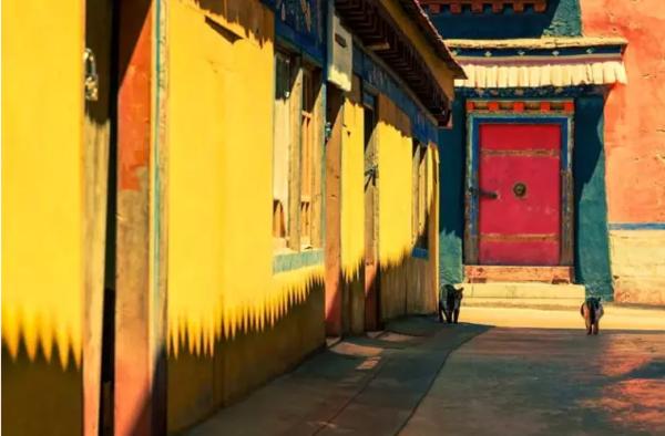 去藏北旅游注意什么,藏西旅游费用