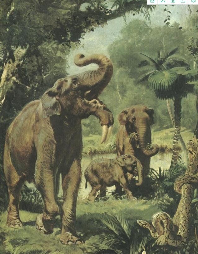 猛犸象进化上古猛犸象,远古时期的猛犸象有多重