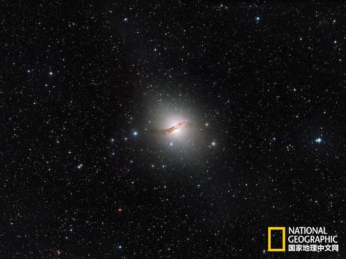 怎么消灭老鼠窝,怎么消灭老鼠跳蚤