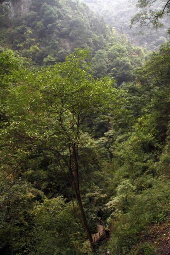 神龙峡：幽谷深深隐桃源