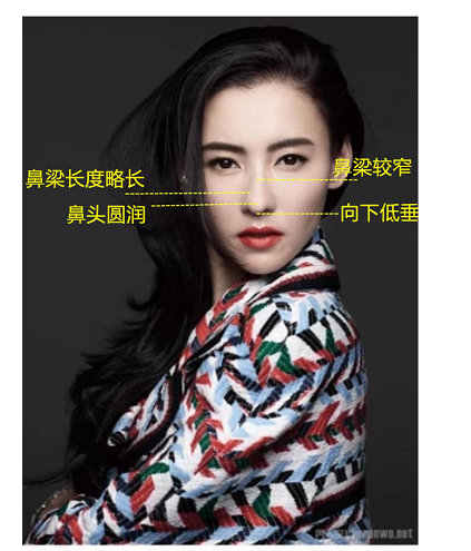 哪四种鼻子最不好看,宽鼻子好看还是窄鼻子好看