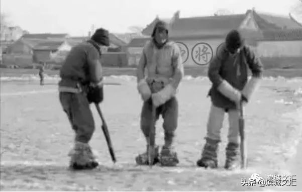 塘沽记忆图片,塘沽儿时记忆
