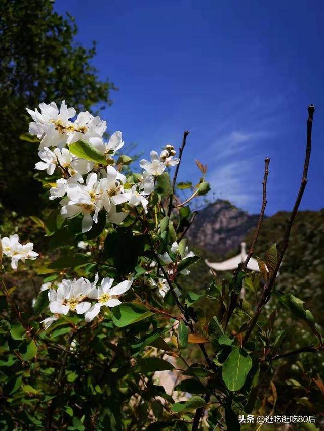 景美人少性价比高的旅游地,西安玉山蓝河游玩路线攻略
