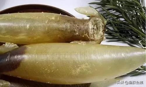 花胶的种类和区别,花胶一共有几种类型的品种