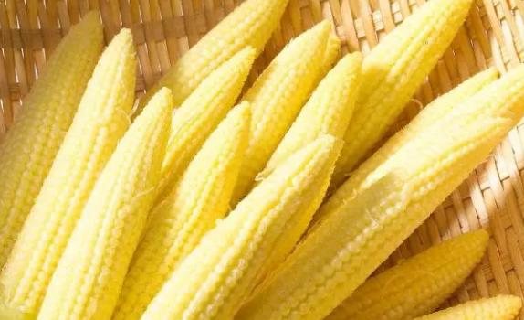 玉米笋怎么做法才好吃,玉米笋儿怎么做好吃