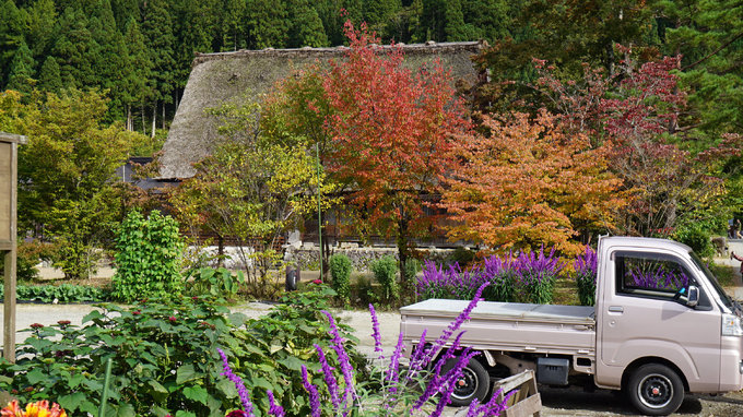六月带你日本游,日本名古屋旅游7天