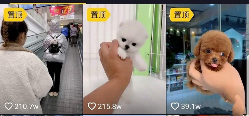 宝妈兼职副业赚钱,兼职零投资副业赚钱方法