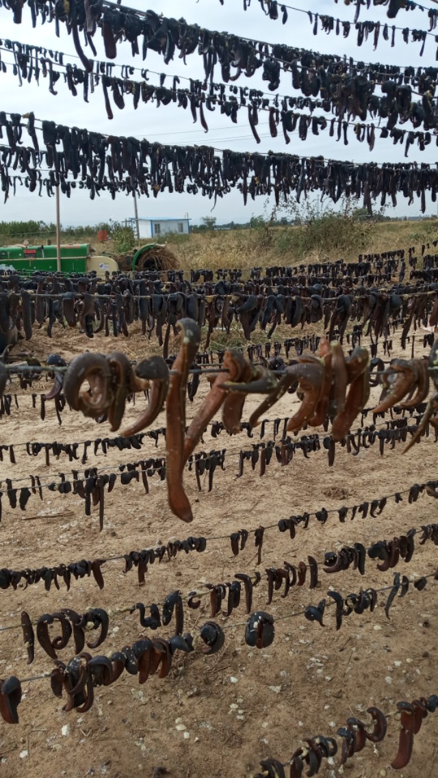 难忘的乡愁老家的味道,难忘的农村老家图片