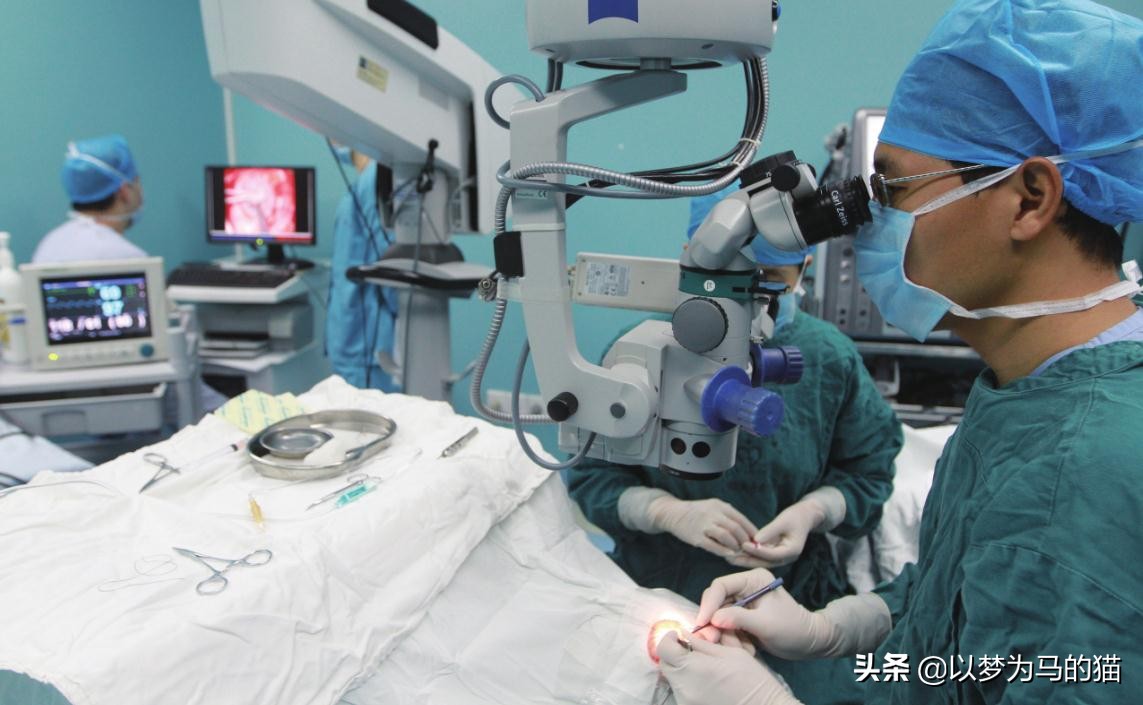 男娃内向读什么专业将来好工作,性格内向的人学什么专业比较好