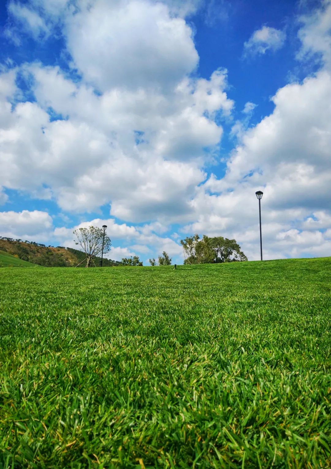 大连三寰牧场旅游攻略,大连三寰牧场草原视频