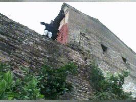 弘扬中国武术散打,弘扬中华武术的道长