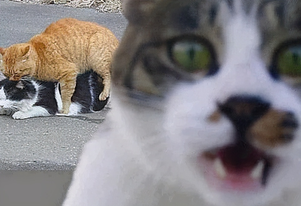 怎么知道她有没有怀孕,怎么知道自己是不是怀孕初期