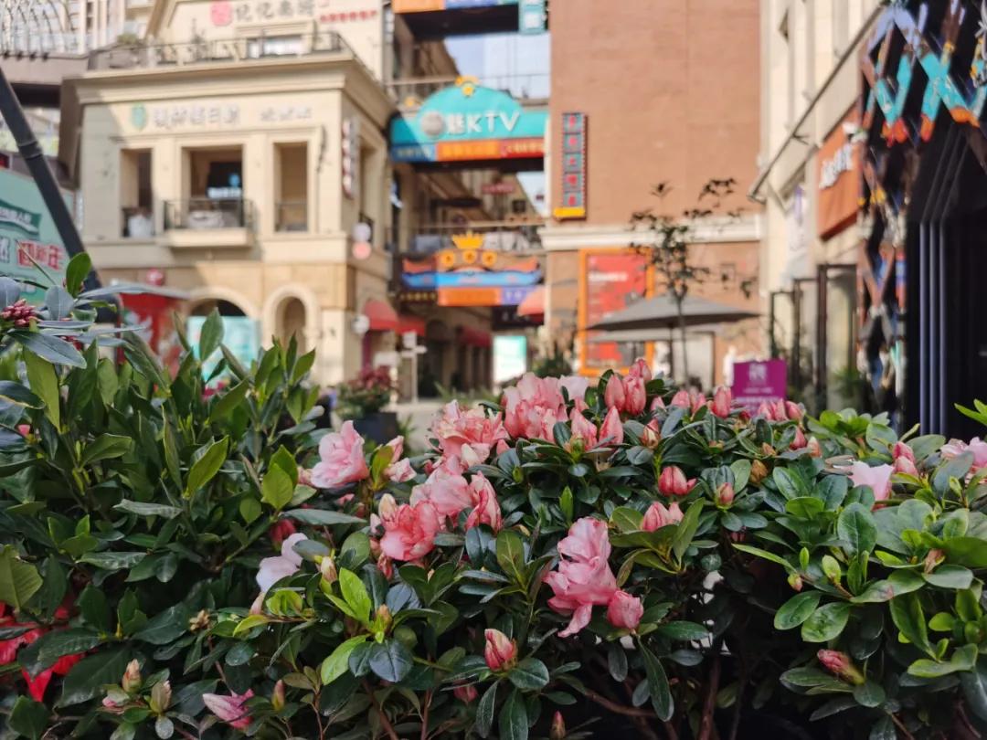 就地过年的新气象,原来就地过年也可以很欢乐