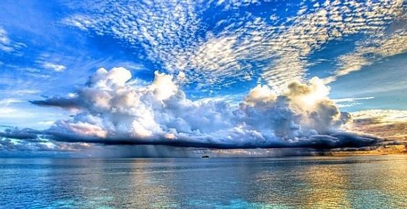 万里云罗一雁飞打一生肖,万里云罗一雁飞指什么意思