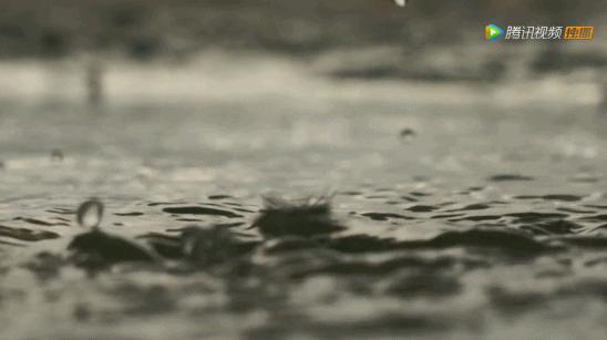 这部BBC纪录片一开播就拿下9.5高分，除了美更培养了孩子的世界观