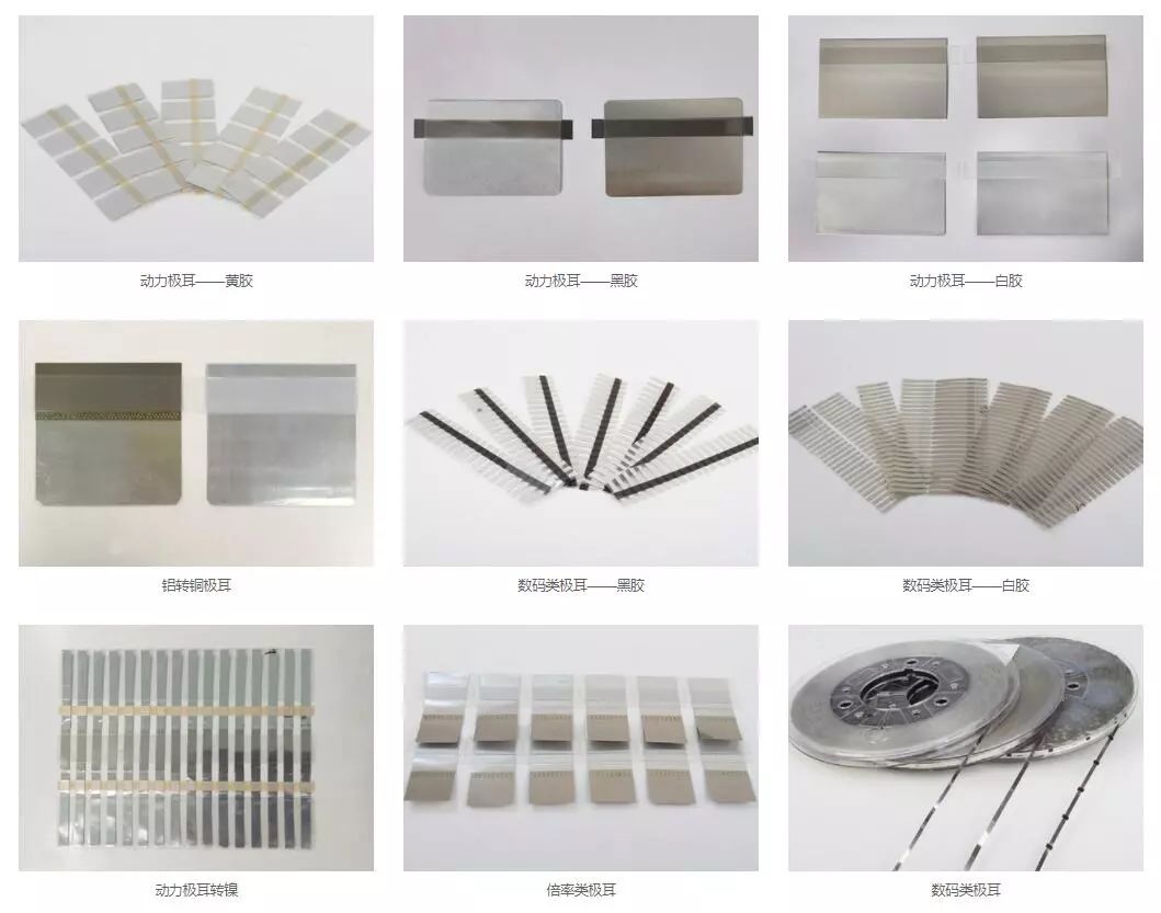 会员风采图片,协会会员风采