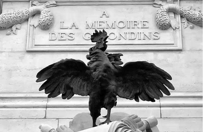 为什么美国国鸟是白头鹰,美国的国鸟和日本的国家鸟谁厉害