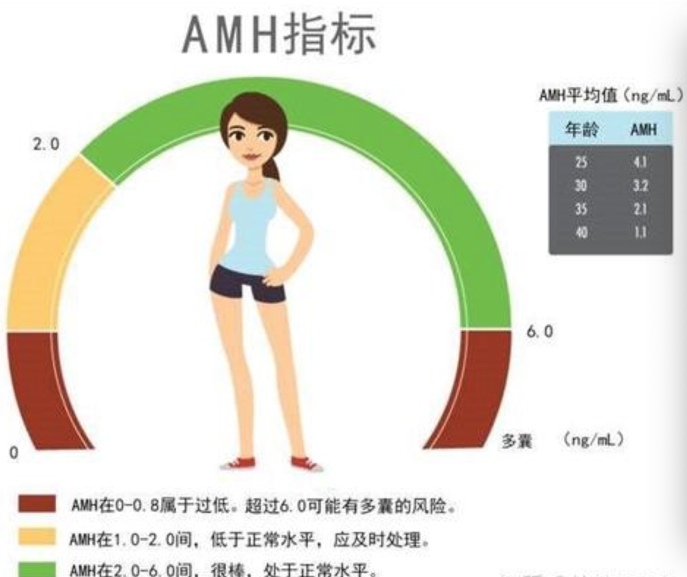 抗缪勒氏管激素amh是什么,抗缪勒氏管激素amh是查什么