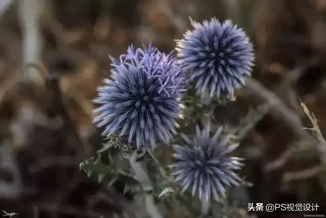 日常照片后期一定要用ps吗,摄影后期修图用ps什么版本