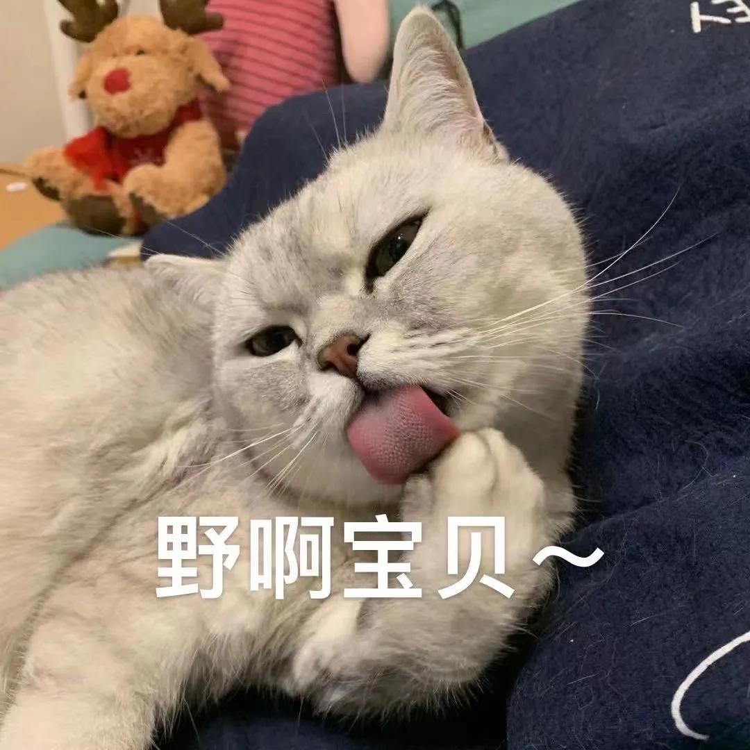 iphone15查岗功能,ios15隐私记录app活动