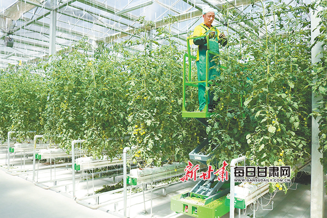 兰州新区生态建设情况调研,兰州新区生态环境