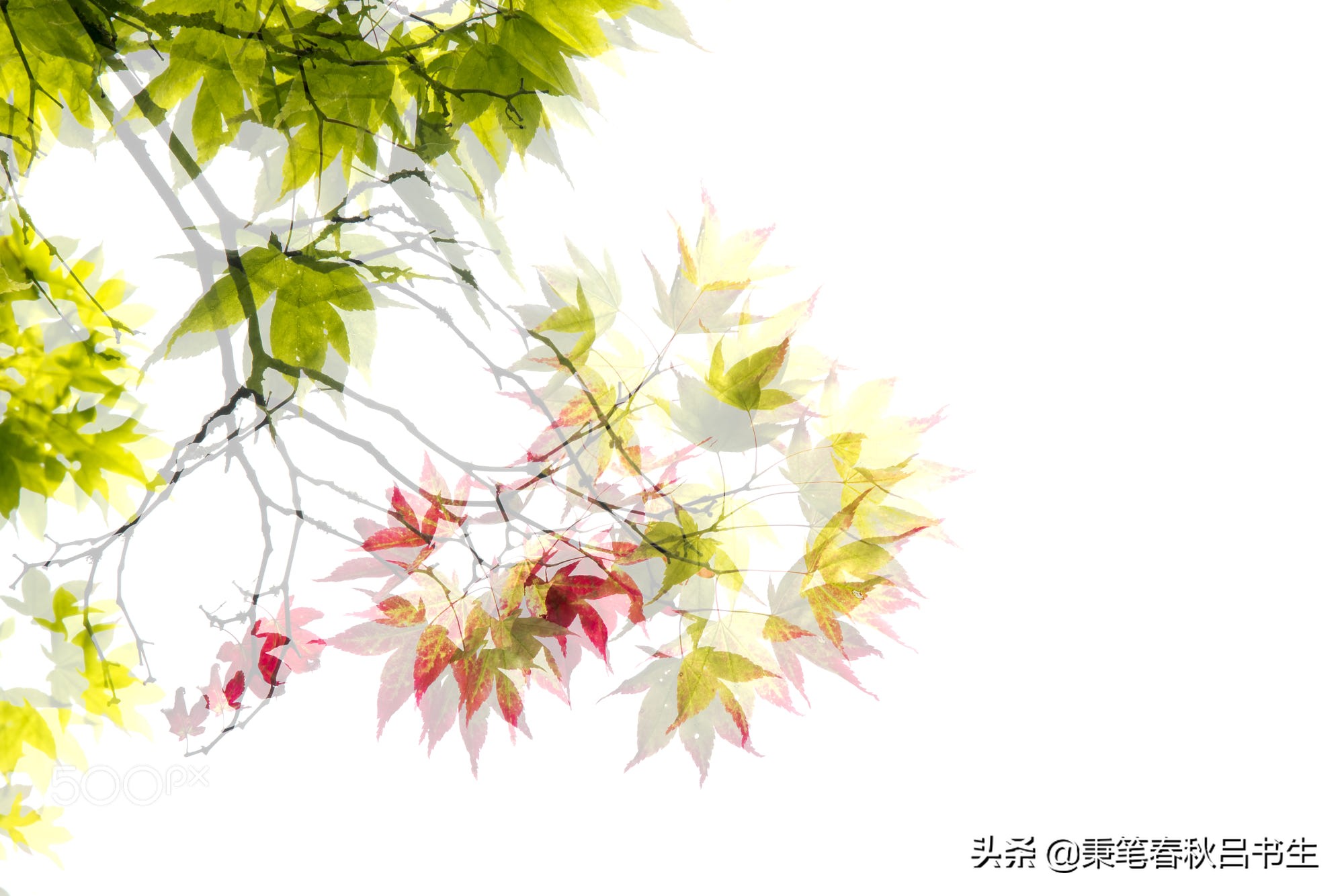 汉末三国人物详解,三国有哪些姓向的人物