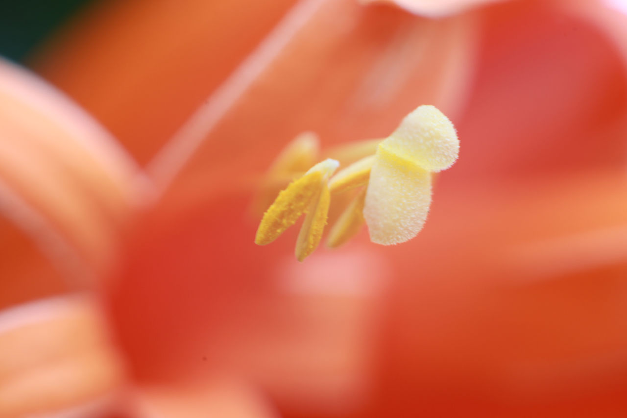 每日积累100个成语故事讲给孩子听,小学生必读成语故事的内容