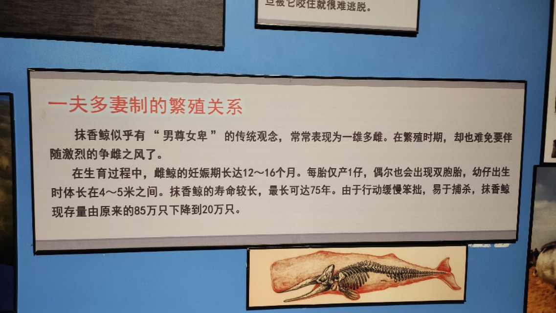 福州欧乐堡海洋世界家庭套票团购,福州欧乐堡海洋世界门票价格