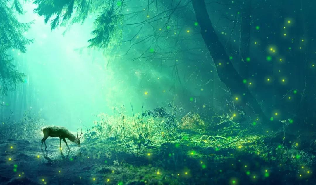 高中语文常考成语积累及解释200个,300个高中语文最常考的成语快来看