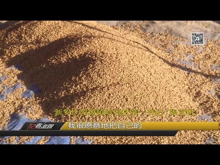 苏坂镇：两年达村级脱贫，驻村书记陈克明把初心写在岭兜的土地上