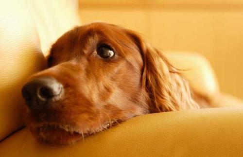 意外伤亡怎么定责任,意外伤亡法律有何处罚