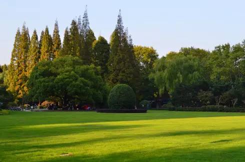 这才是正宗上海最好的牛肉,这才是上海最好吃的牛杂