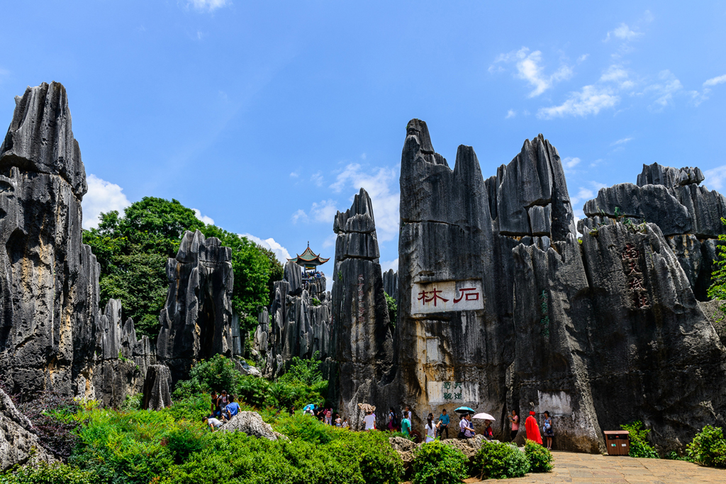 村林的风景图片,云南三林地质奇观图