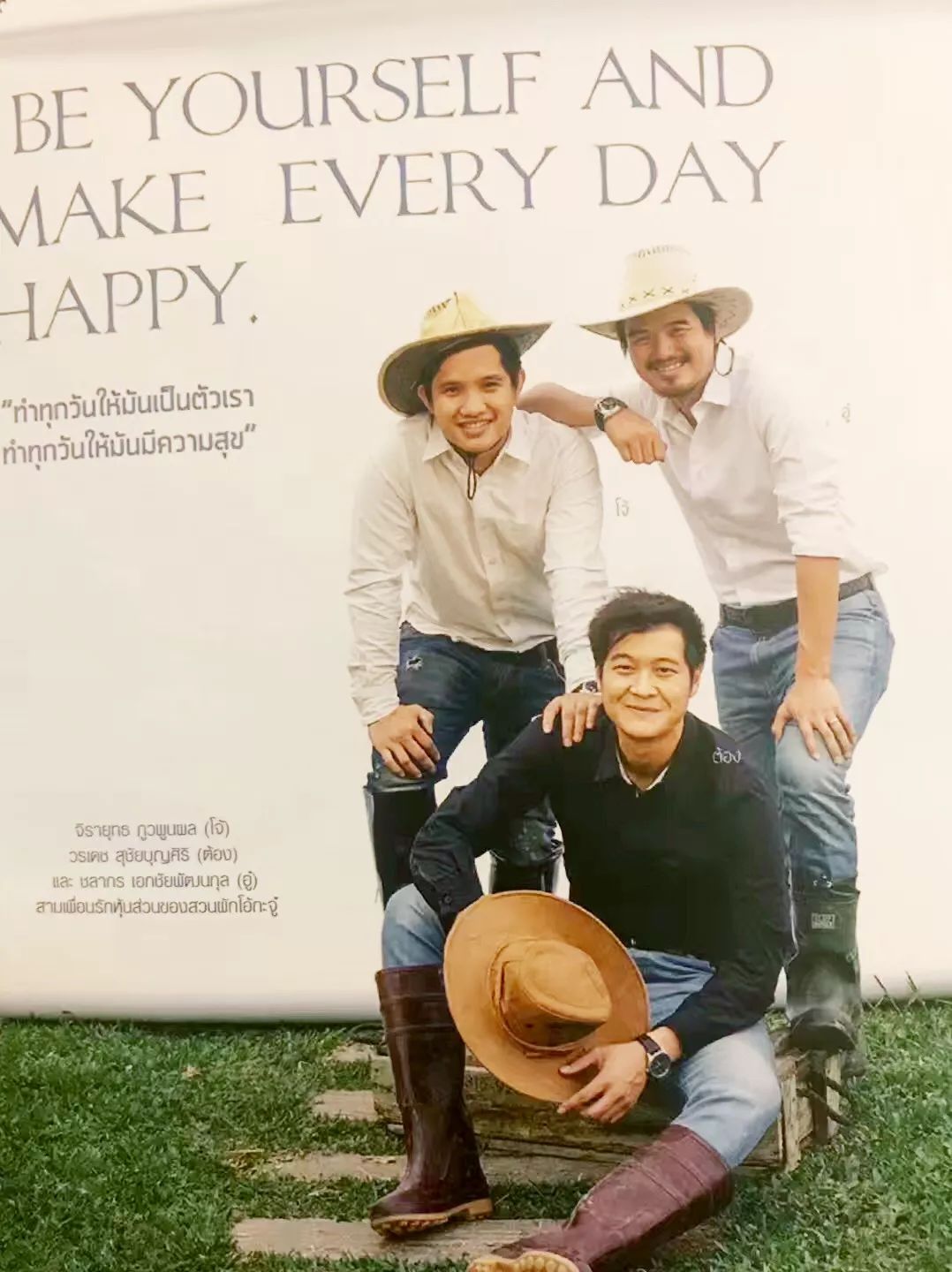 泰国清迈特产水果,泰国清迈的玫瑰