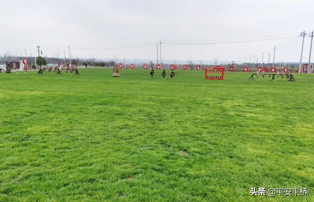 临渭区防疫不放松春耕工作,防控疫情不松劲春耕备耕不停歇