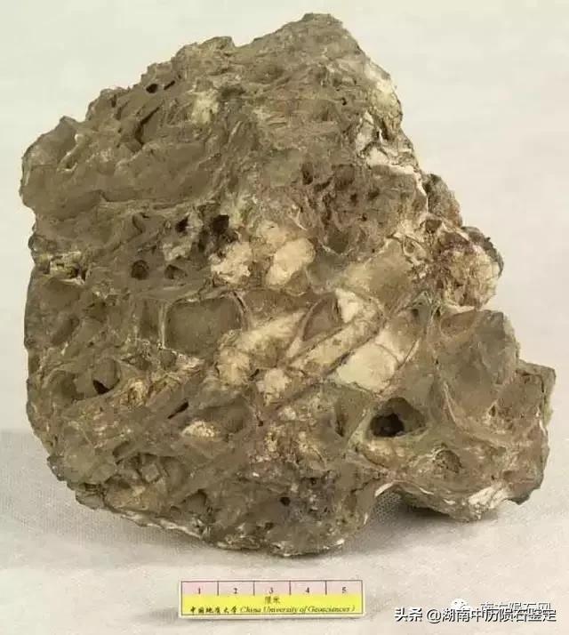 月球陨石与地球矿石的区别,月球陨石和矿石有什么区别