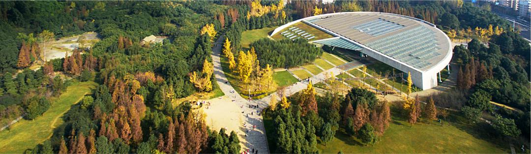 内卷的不只是打工人，连博物馆也开始拼了