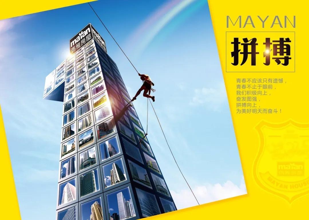 相信专业的力量,相信专业的力量提高效率