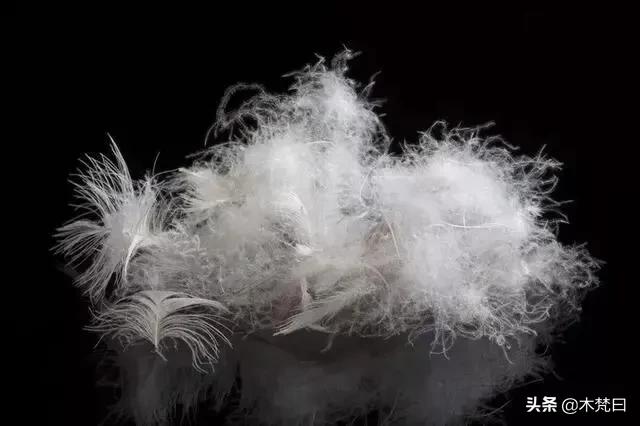 羽绒服谁都有，“懂买”羽绒服没几个，怎么选才能既保暖又时髦