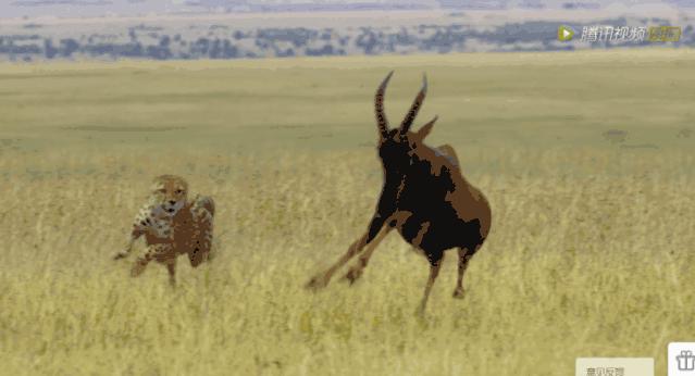 炸裂9.9,BBC再出神片,美得让人脸红