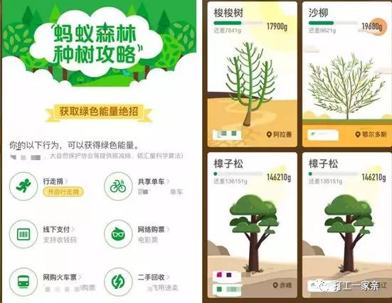 在迷茫中寻找思路,给所有迷茫的人一个建议