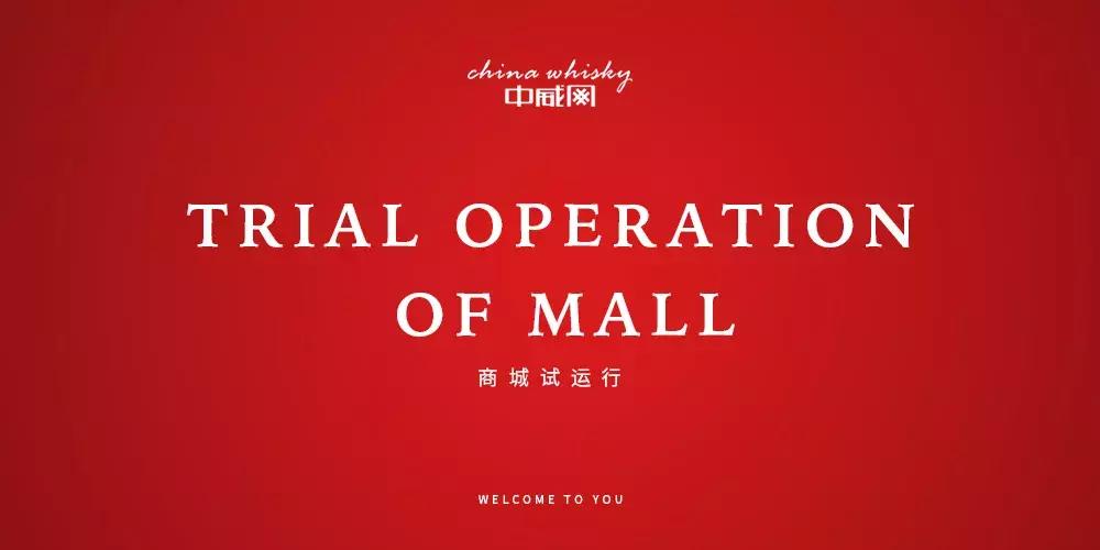 中威网注册,中威网是什么