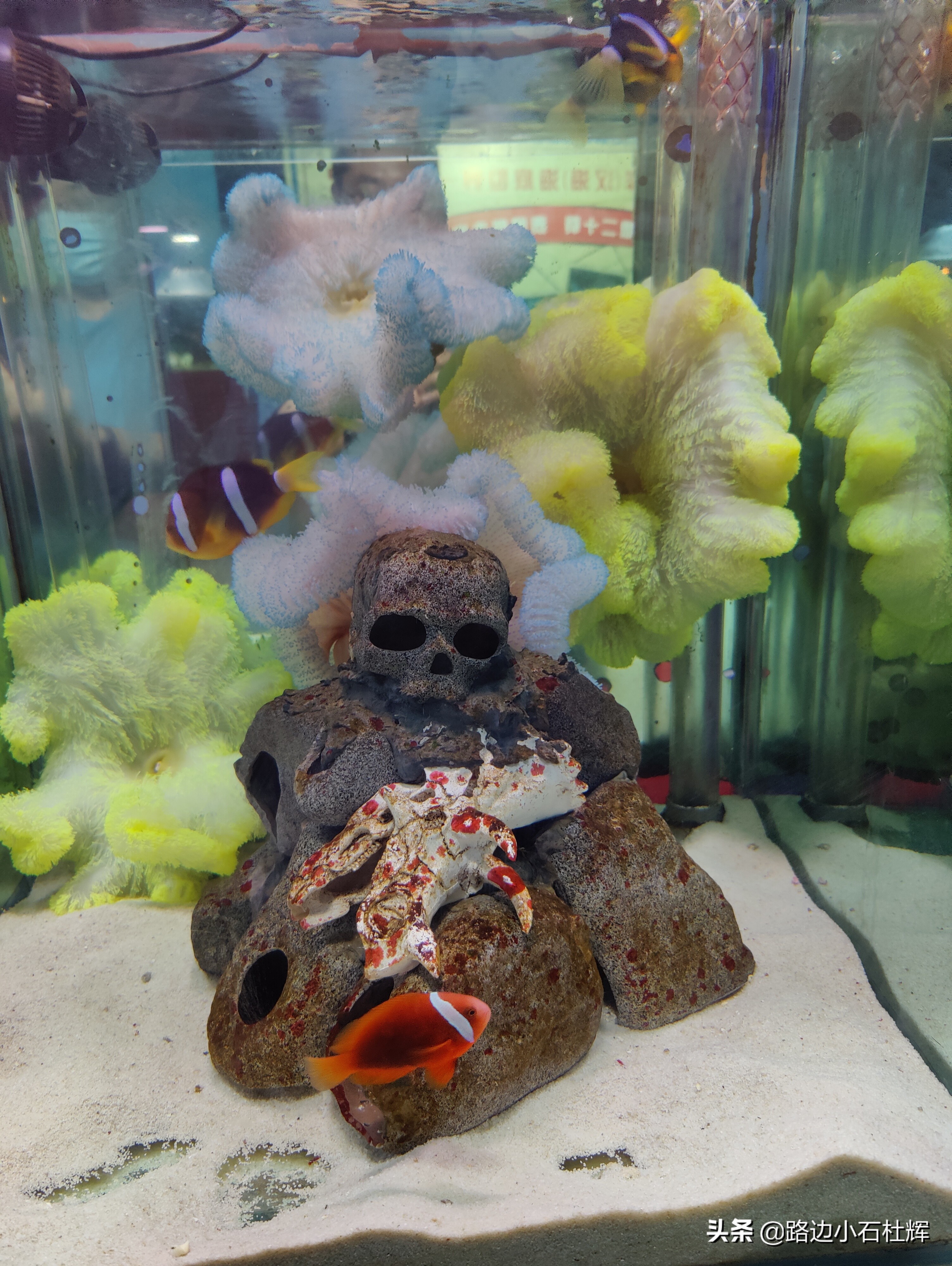 北京海洋馆海底世界和动物园攻略,游北京动物园海洋馆