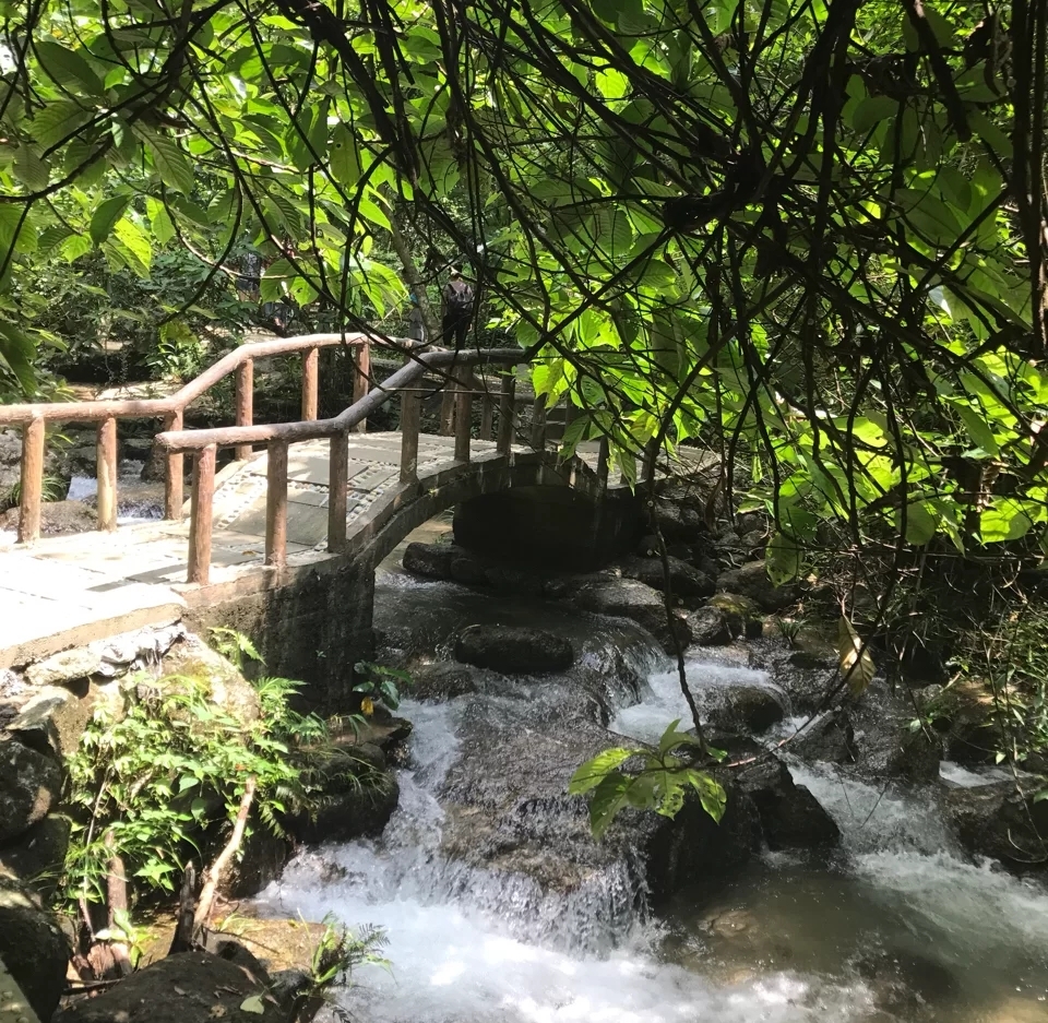 去广西玉林大容山公园露营,广西大容山森林公园