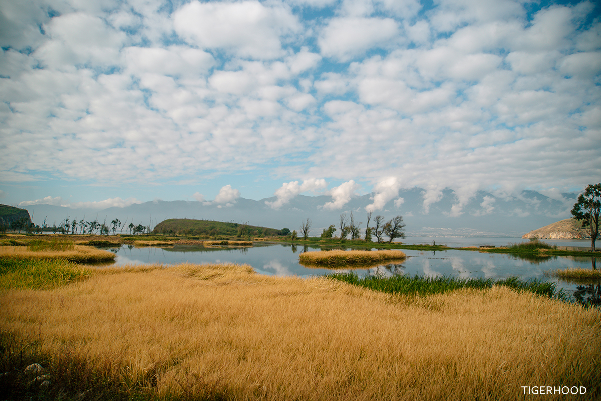 太格有物北京复古咖啡师,太格有物怎么样