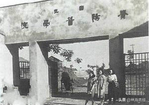 杨崇瑞,杨崇瑞教授