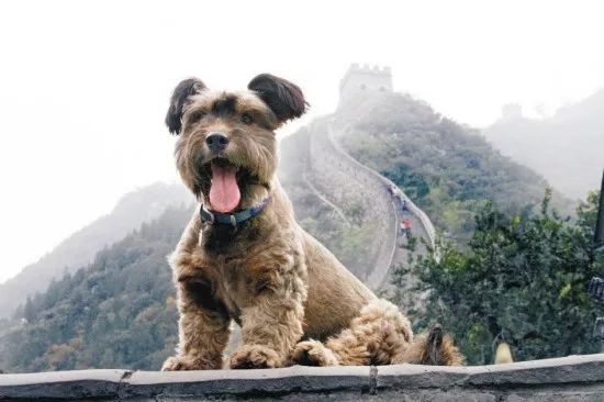 旅行100个冷知识,旅行冷知识500例