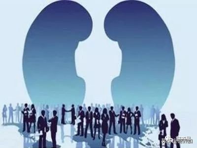 肌酐高饮食注意事项,肌酐高饮食要注意什么