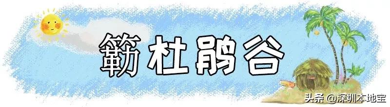 深圳免费的景点有哪些地方,深圳有哪些免费又好玩的地方景点